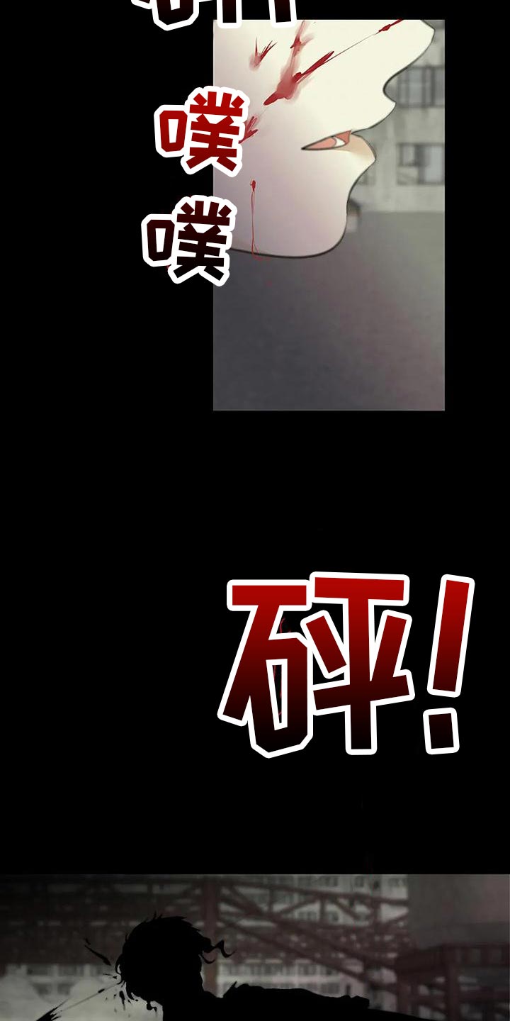 《贴身使者》第95章复仇 第2页
