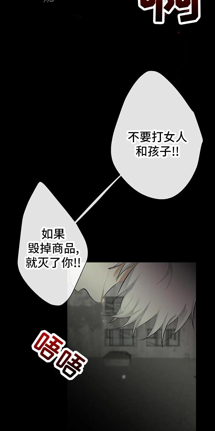 《贴身使者》第95章复仇 第5页