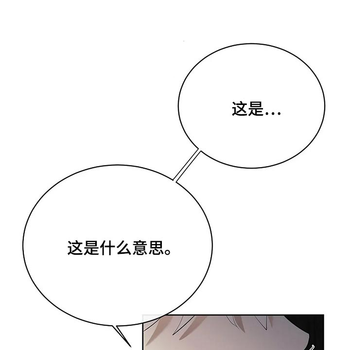 《贴身使者》第89章奇怪的地方 第1页