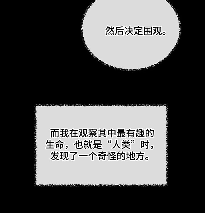 《贴身使者》第89章奇怪的地方 第32页
