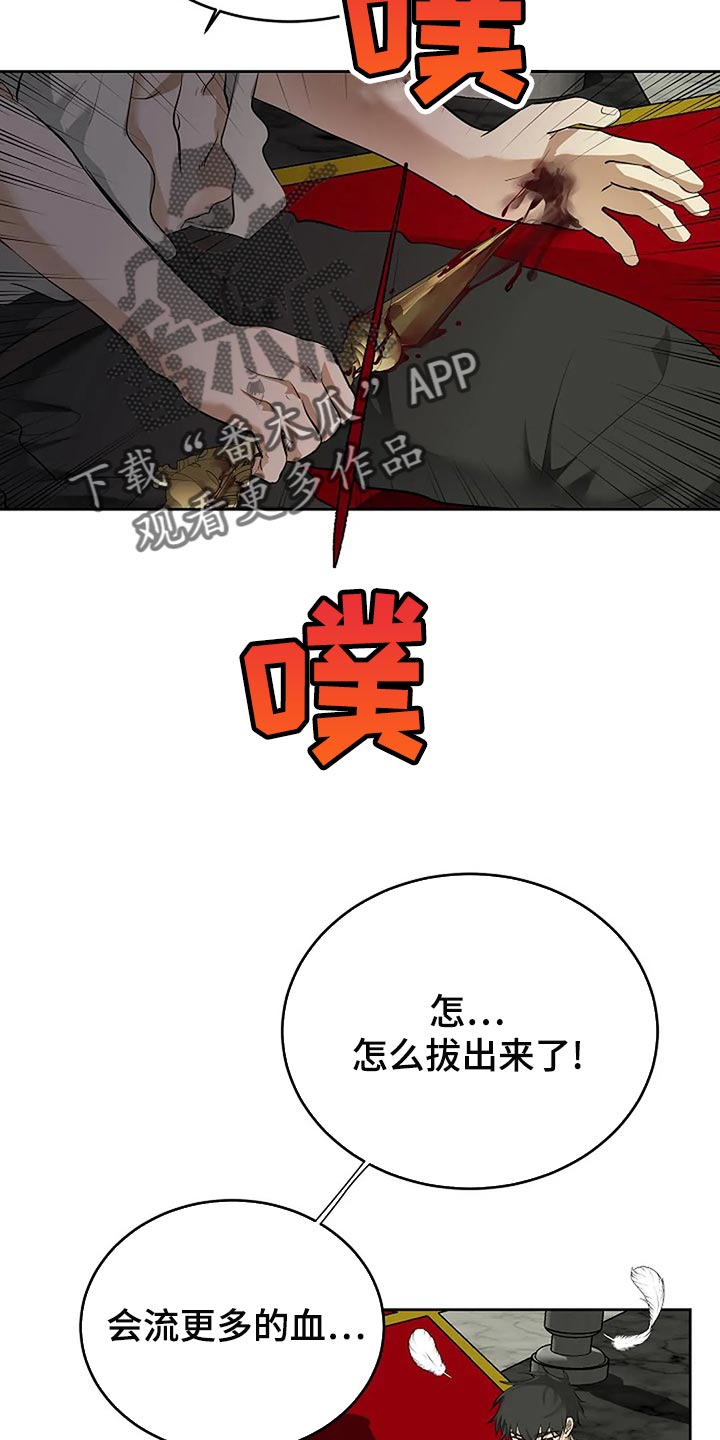 《贴身使者》第93章孤身作战 第13页