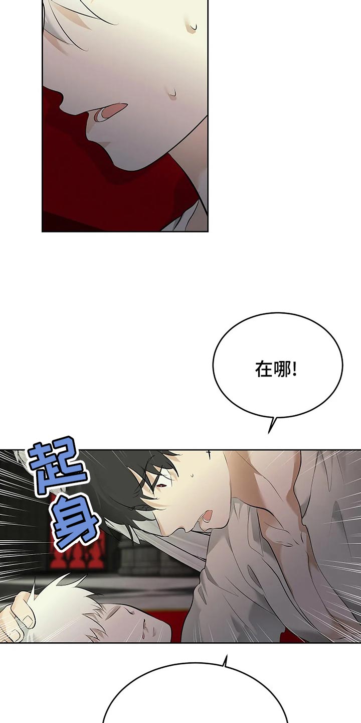 《贴身使者》第93章孤身作战 第5页