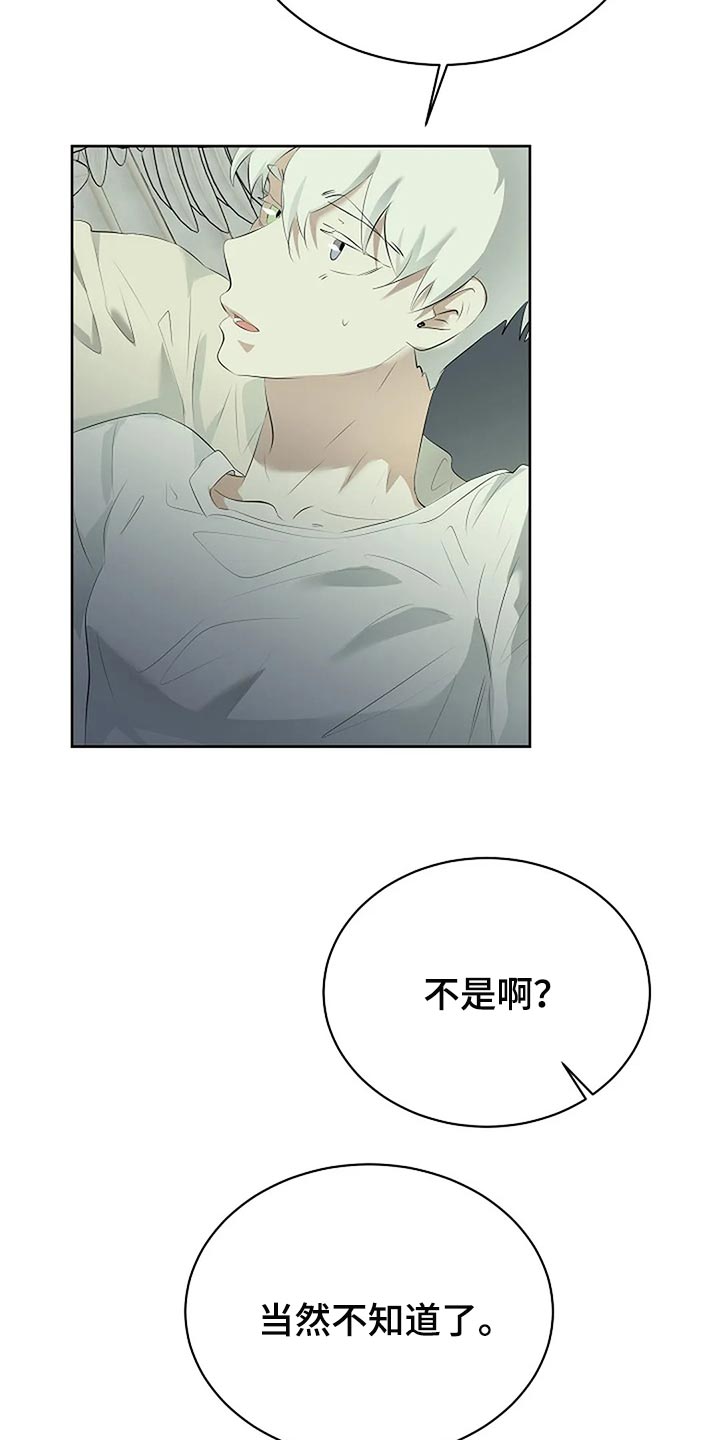 《贴身使者》第88章你能理解了吗？ 第2页
