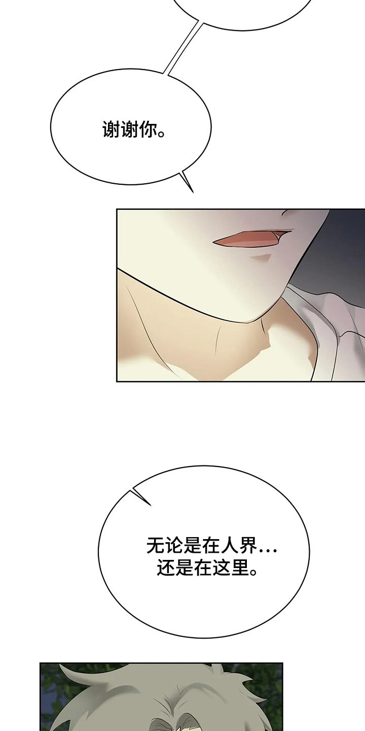 《贴身使者》第87章为自己做选择 第19页