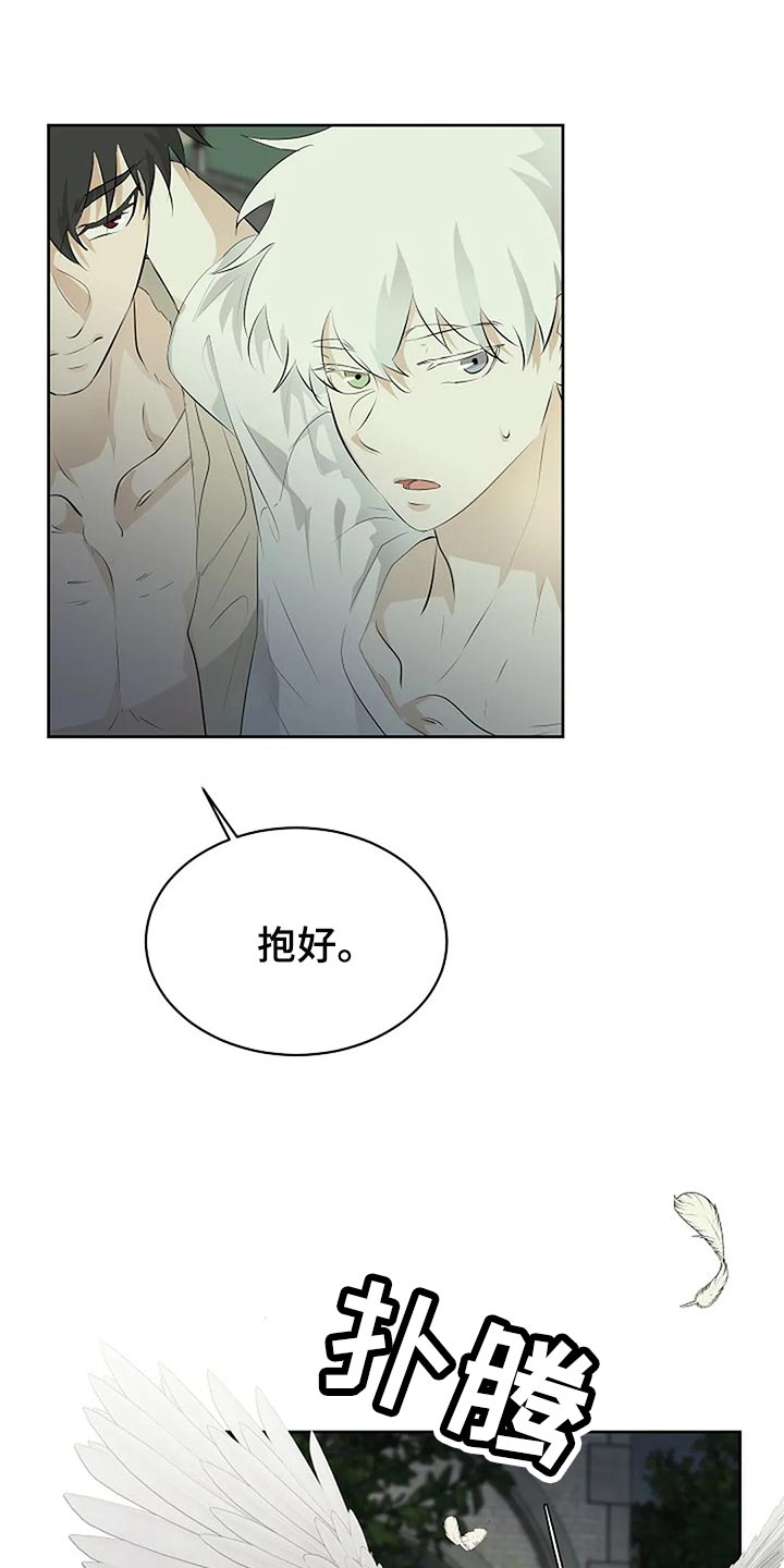 《贴身使者》第87章为自己做选择 第31页