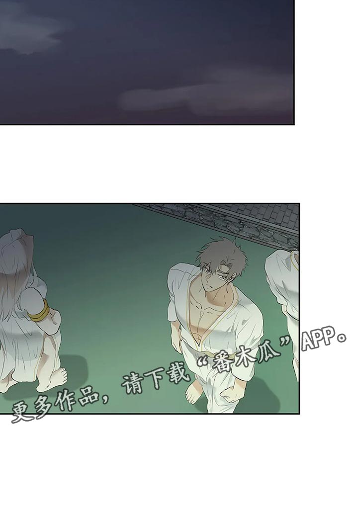 《贴身使者》第87章为自己做选择 第35页