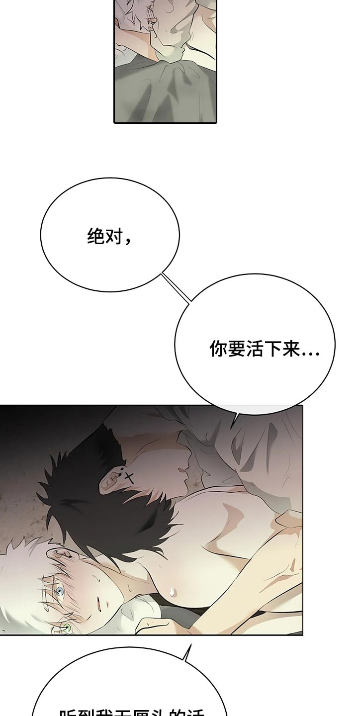《贴身使者》第86章说好了 第10页