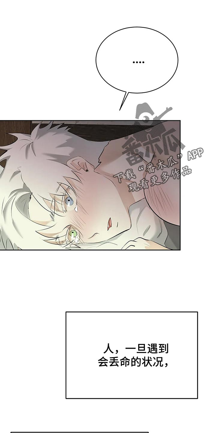 《贴身使者》第86章说好了 第12页