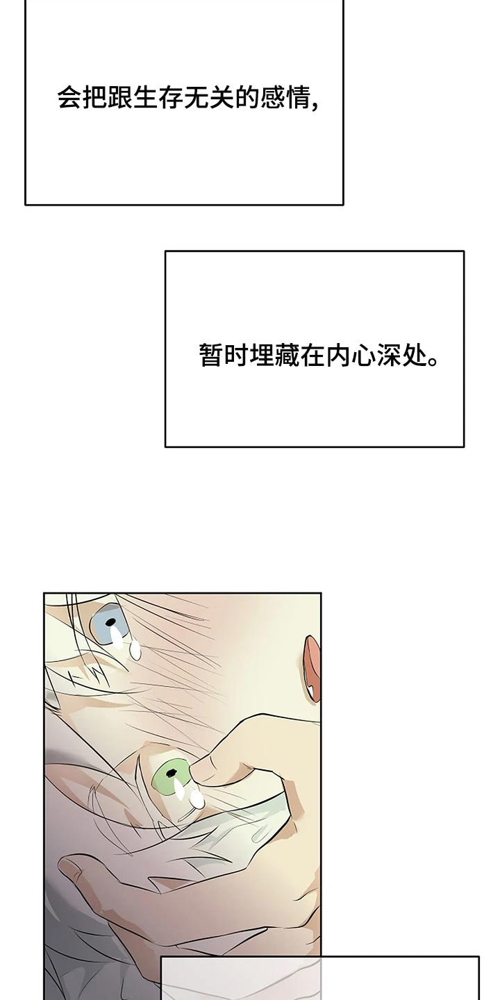 《贴身使者》第86章说好了 第13页