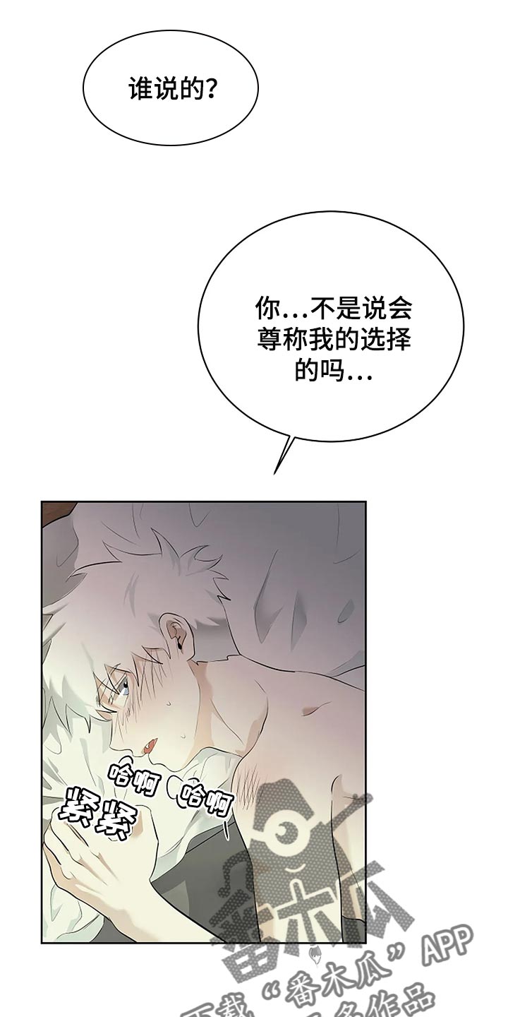 《贴身使者》第86章说好了 第5页