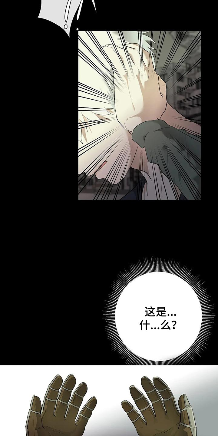 《贴身使者》第81章自私的我 第6页