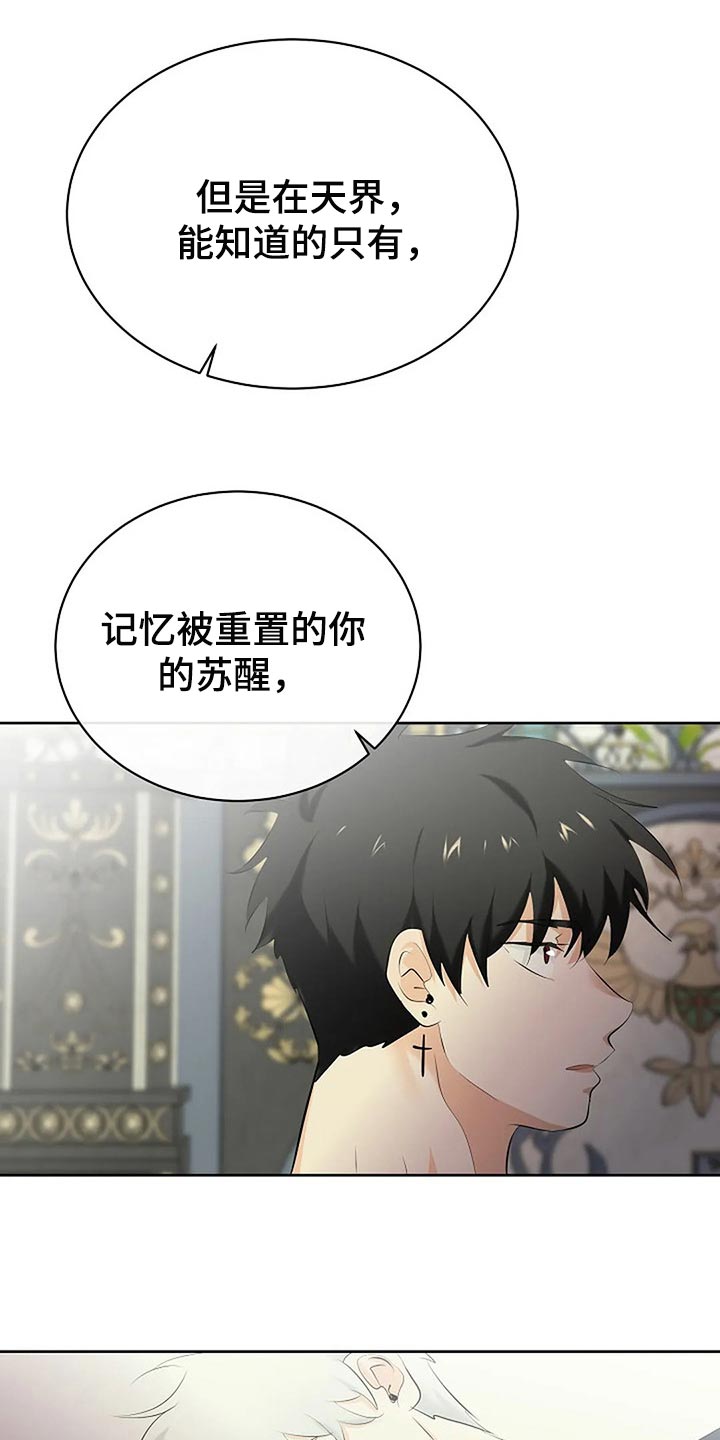 《贴身使者》第79章路西法的记忆 第10页