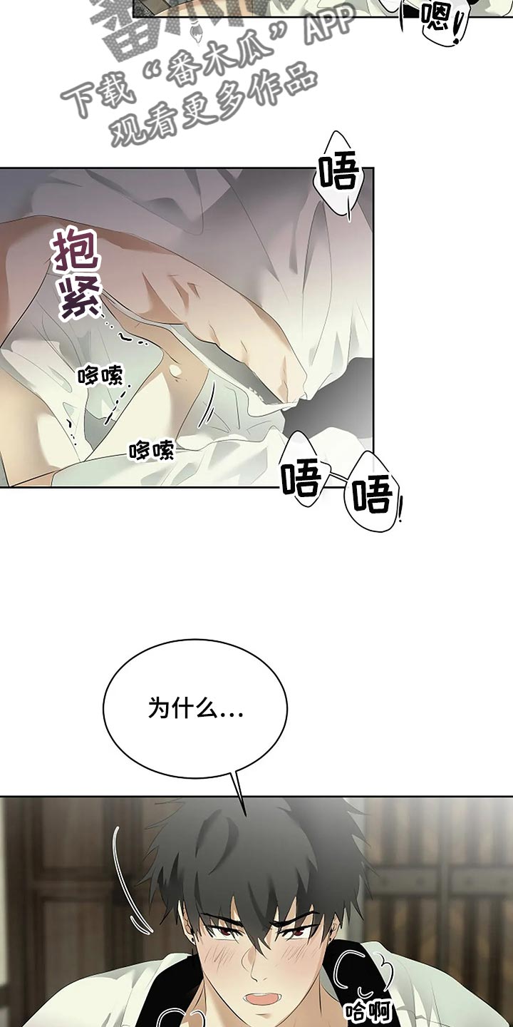 《贴身使者》第82章消失 第3页