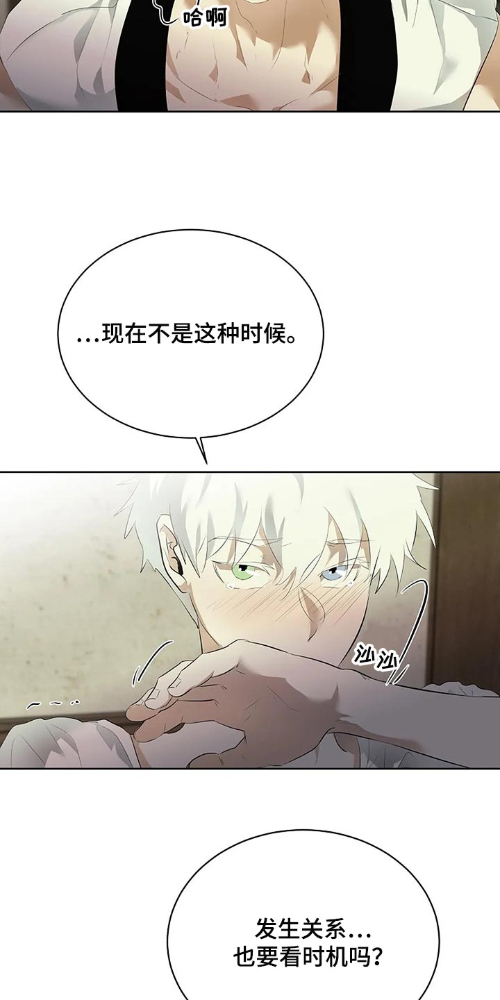 《贴身使者》第82章消失 第4页