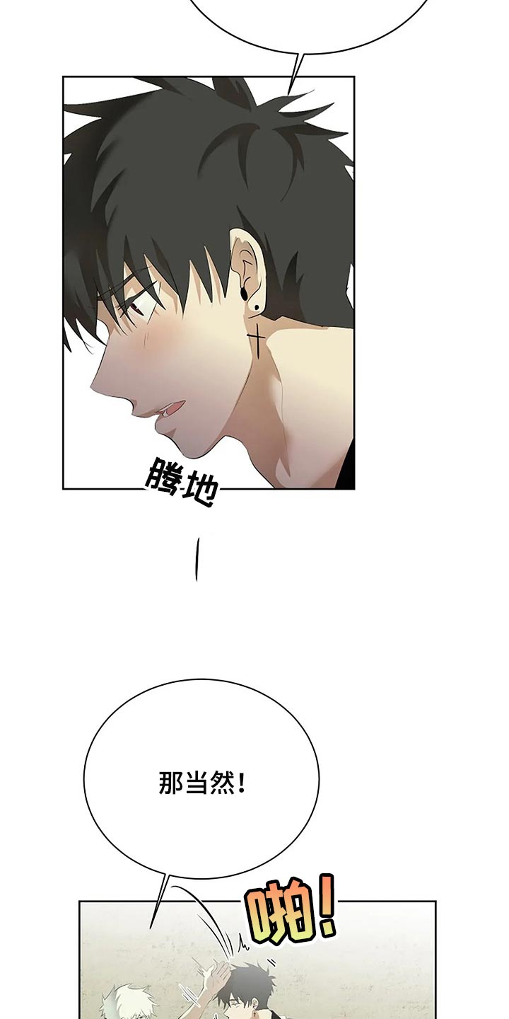 《贴身使者》第82章消失 第5页
