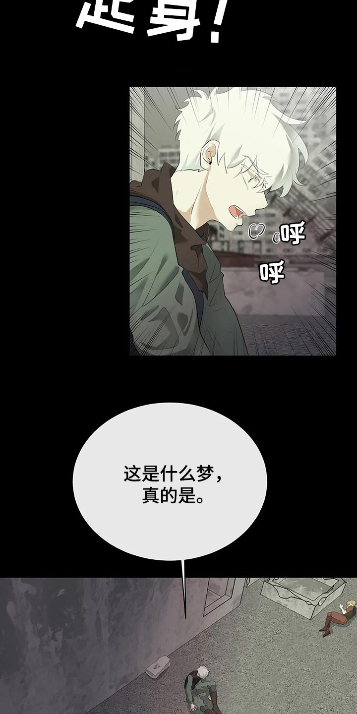 《贴身使者》第80章我们该走的路 第24页