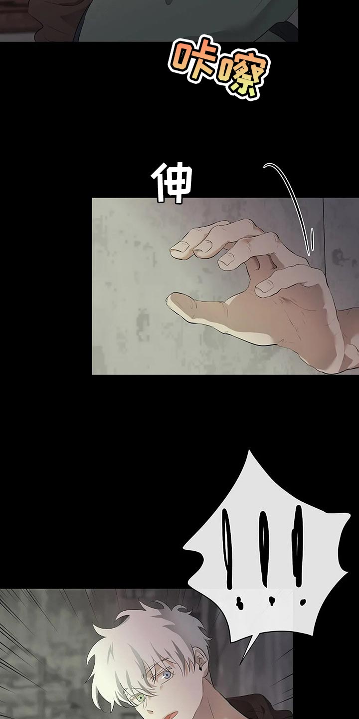《贴身使者》第80章我们该走的路 第26页