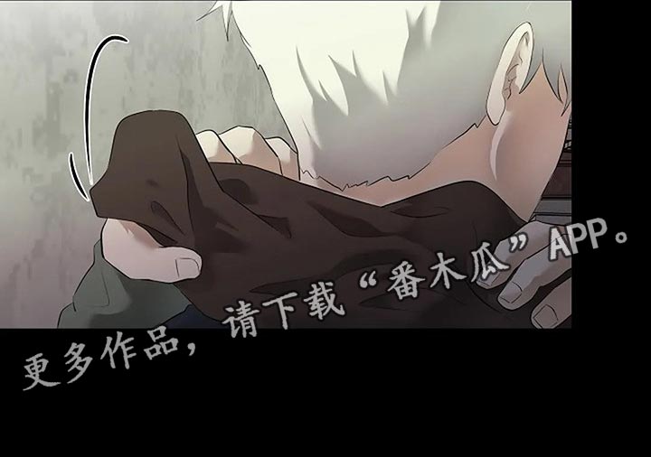 《贴身使者》第80章我们该走的路 第29页