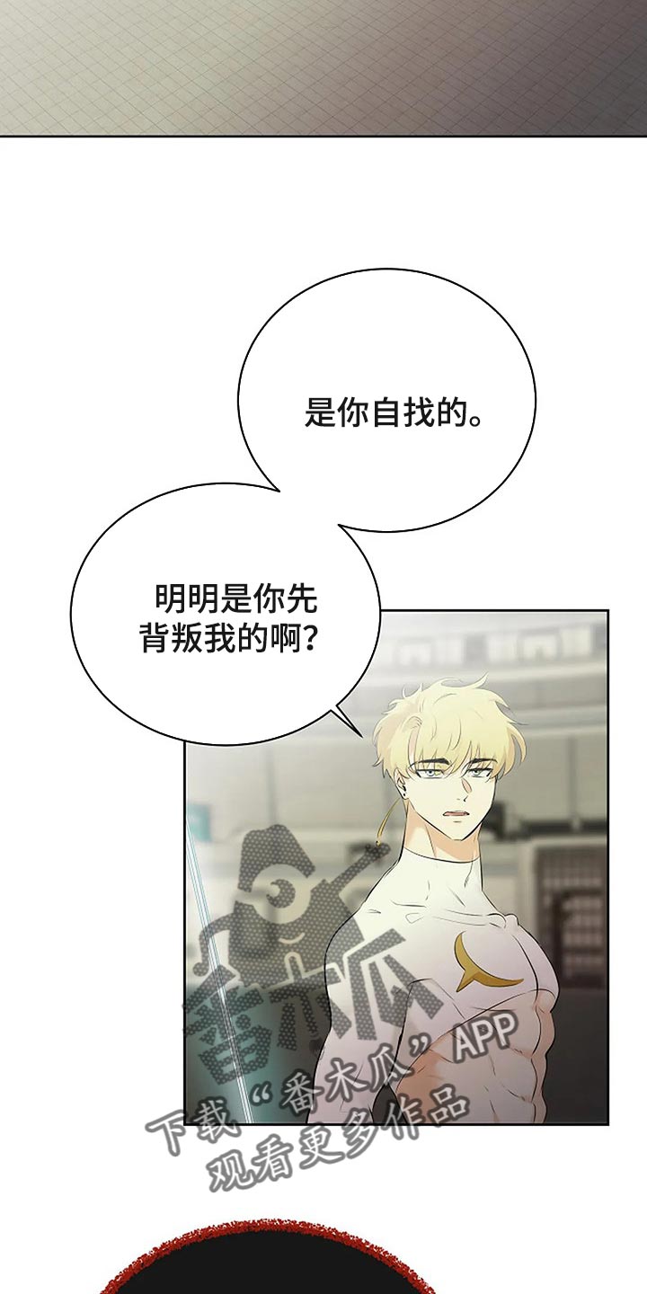《贴身使者》第75章你先背叛的 第13页