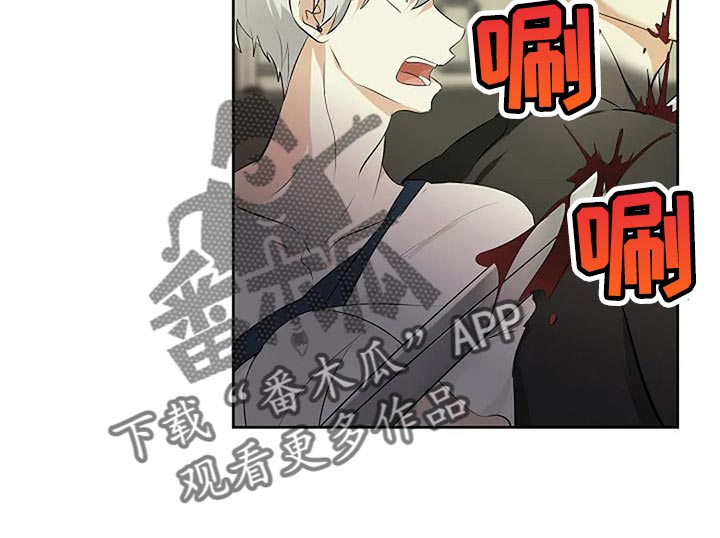 《贴身使者》第76章一无所有 第11页