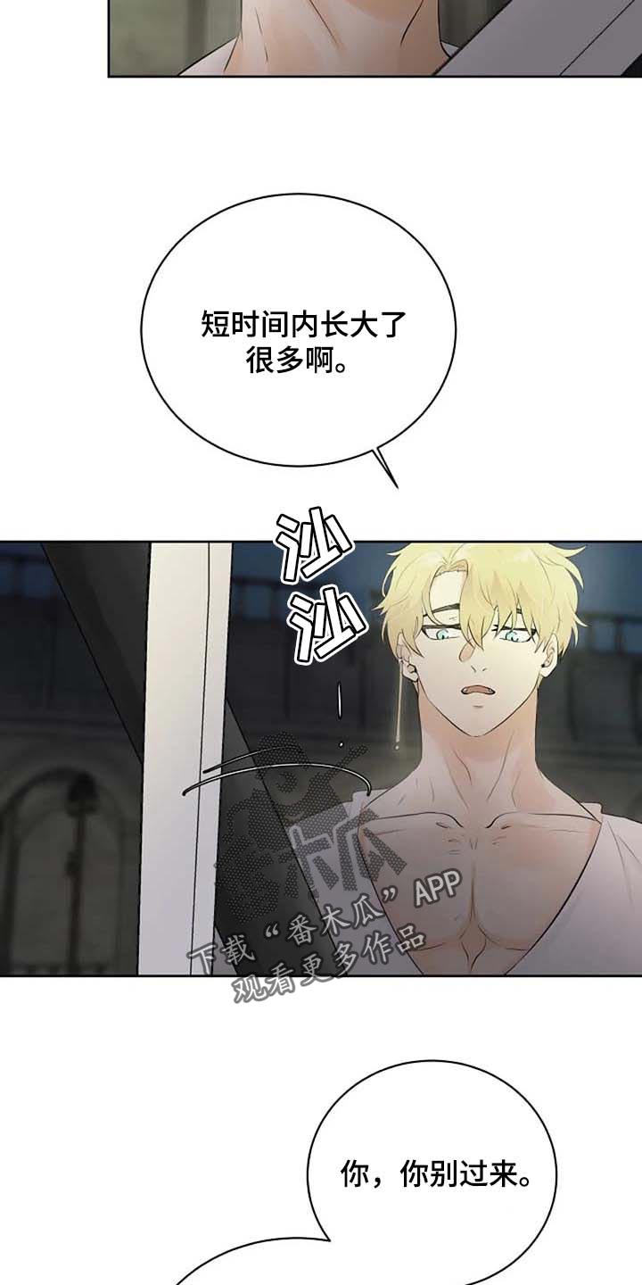 《贴身使者》第71章练练剑 第9页