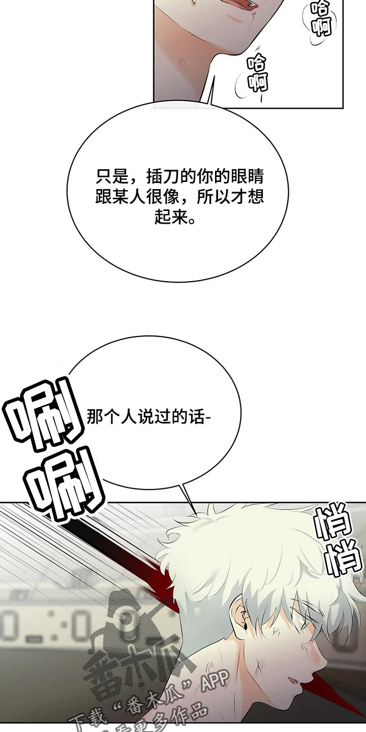 《贴身使者》第73章分出胜负 第34页