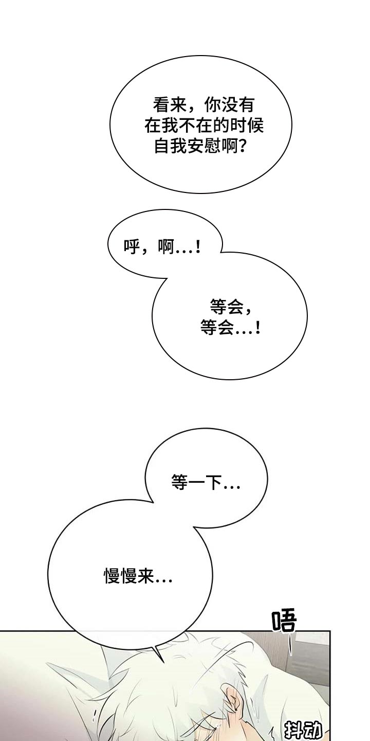《贴身使者》第69章会有什么结果 第12页