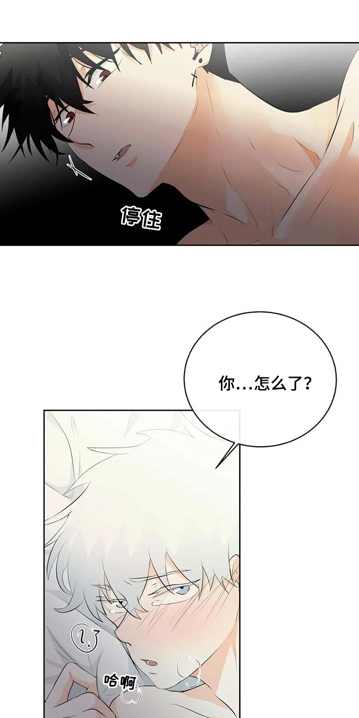 《贴身使者》第69章会有什么结果 第14页