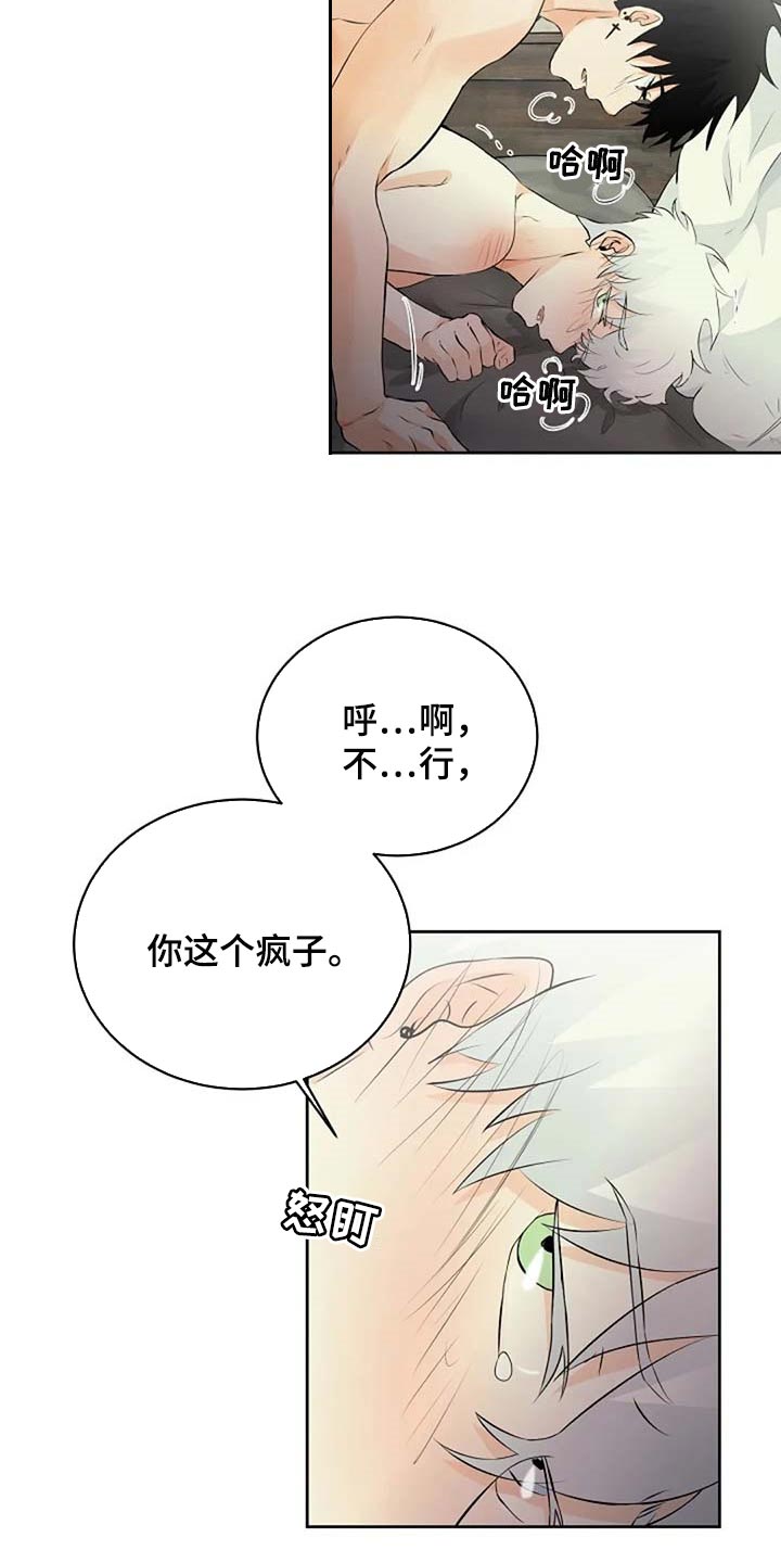 《贴身使者》第69章会有什么结果 第21页