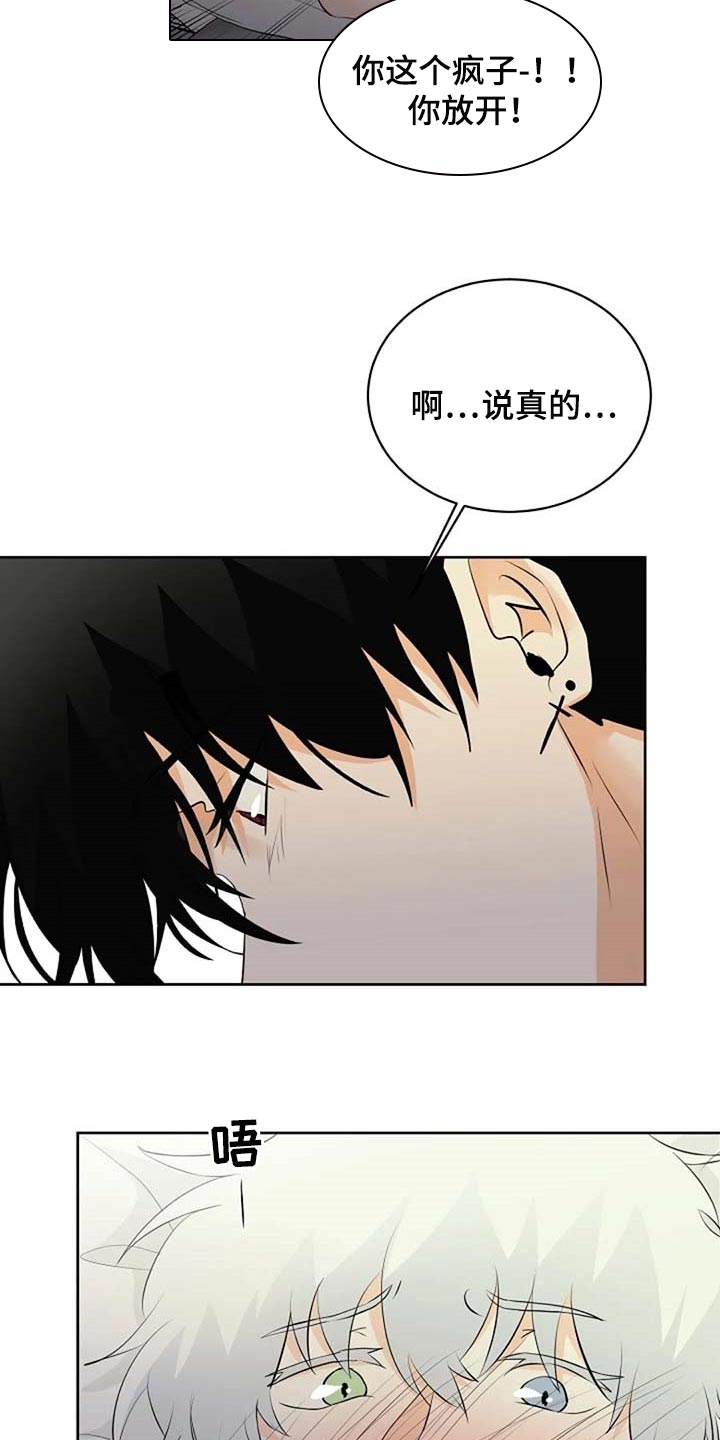 《贴身使者》第69章会有什么结果 第3页