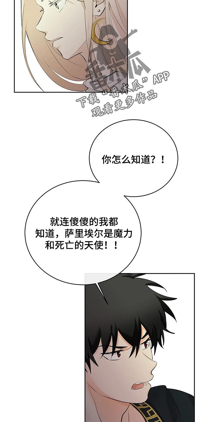 《贴身使者》第72章承诺 第24页