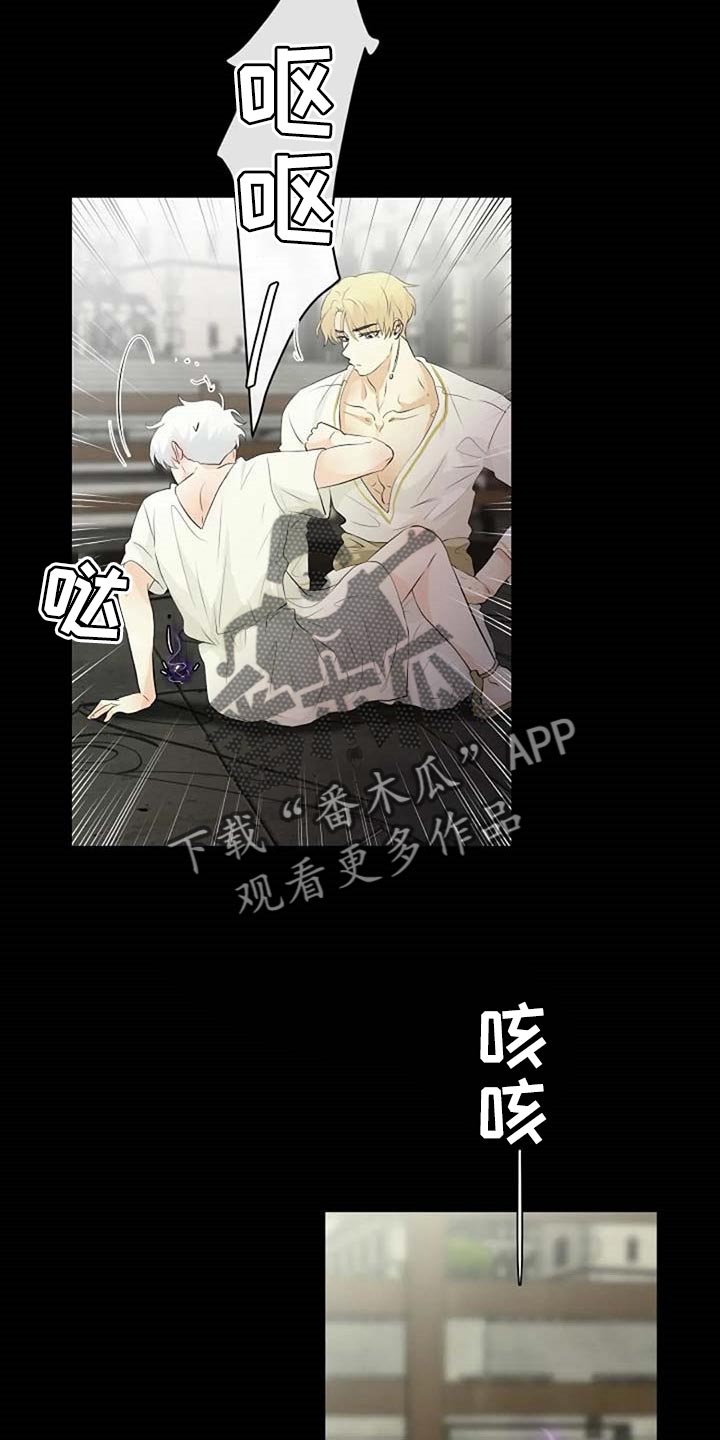《贴身使者》第67章潜力 第10页