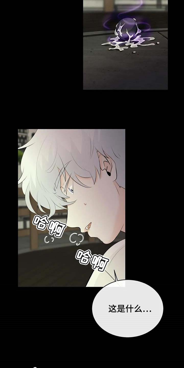 《贴身使者》第67章潜力 第11页