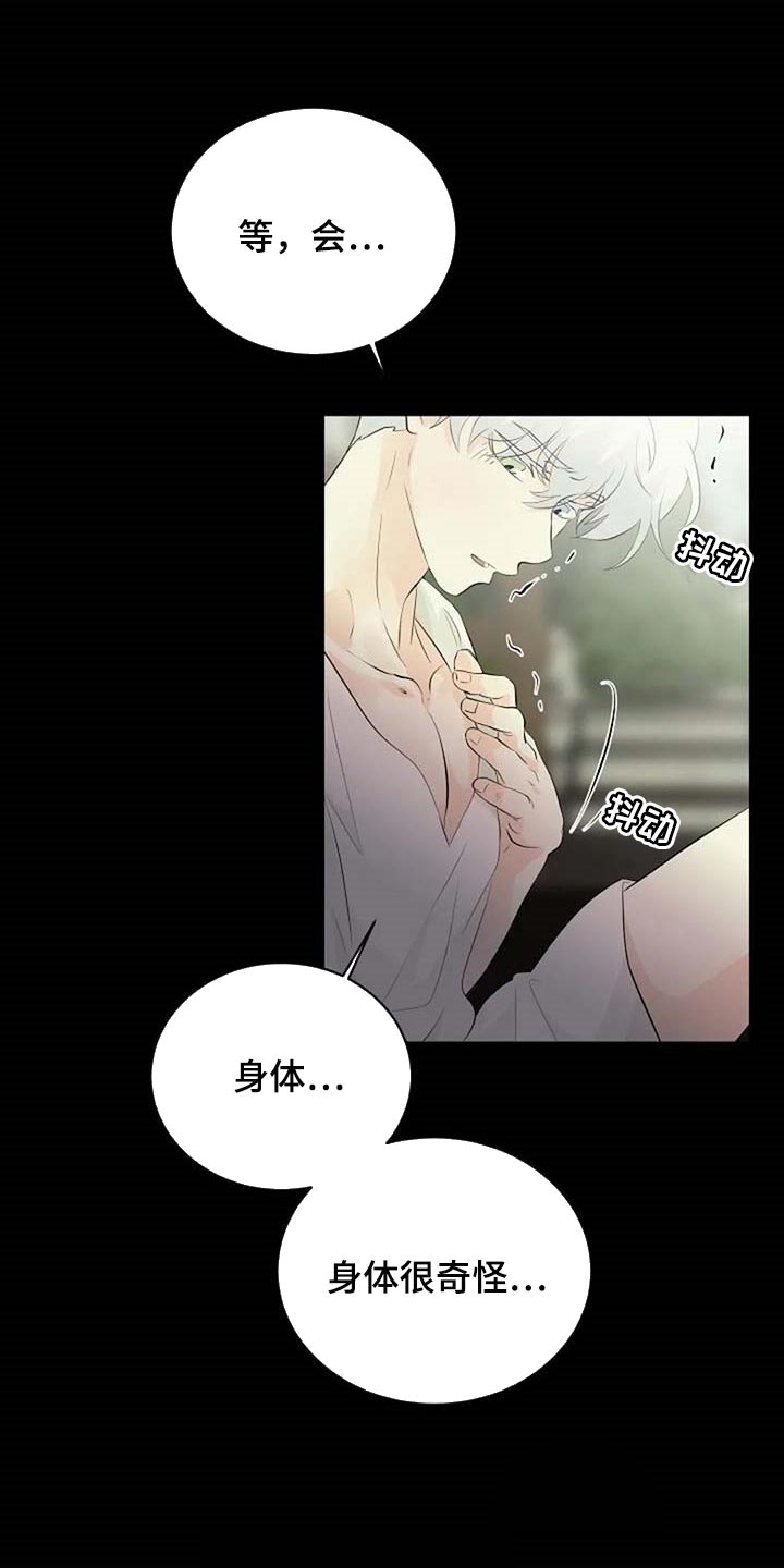 《贴身使者》第67章潜力 第15页