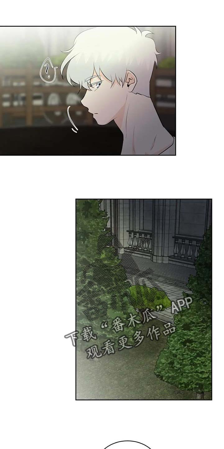 《贴身使者》第67章潜力 第29页