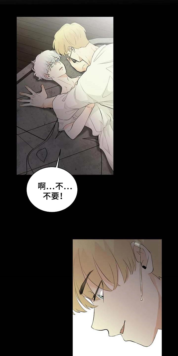 《贴身使者》第67章潜力 第7页