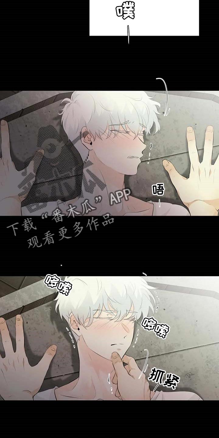 《贴身使者》第67章潜力 第8页