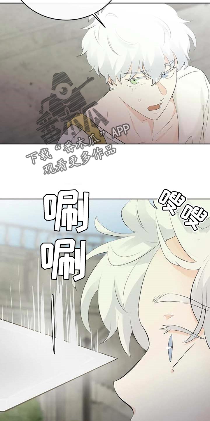 《贴身使者》第65章公私分明 第17页