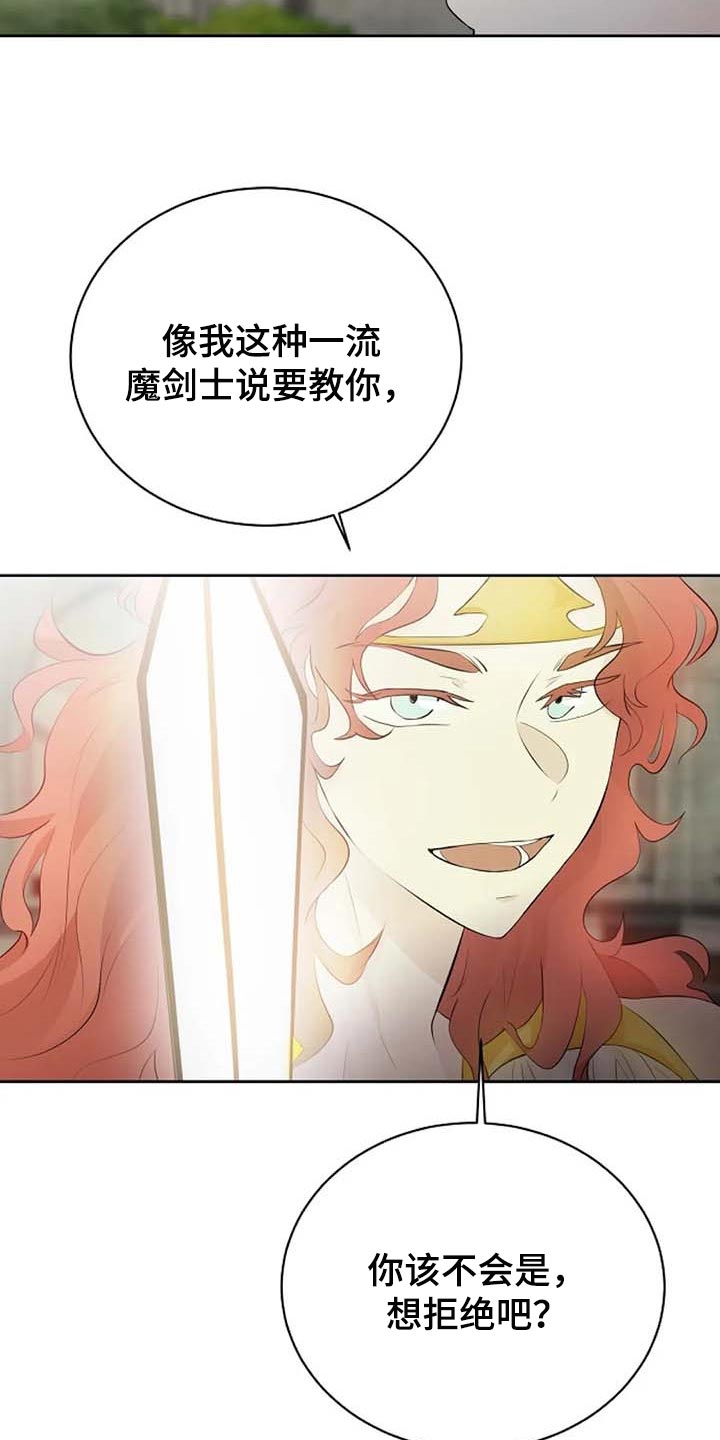 《贴身使者》第65章公私分明 第18页
