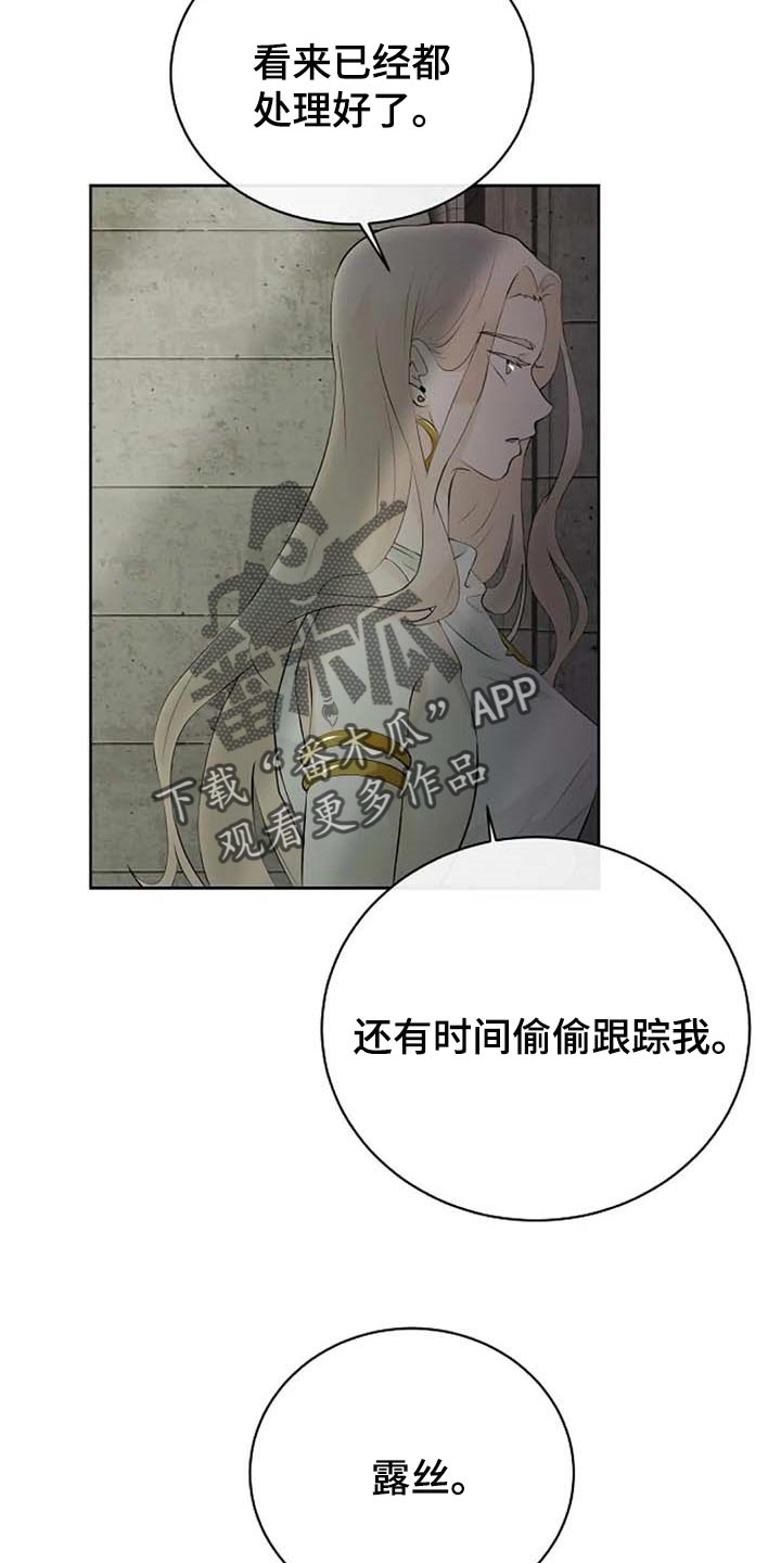 《贴身使者》第65章公私分明 第26页