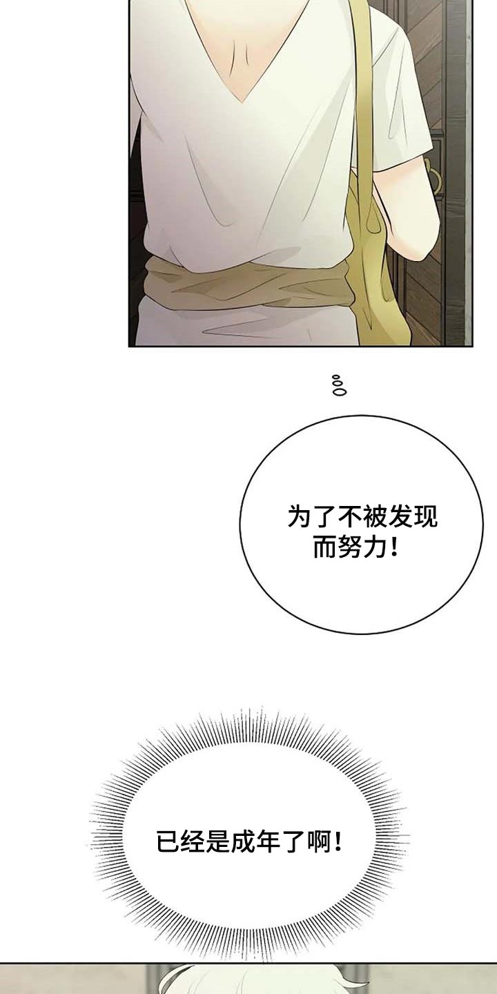 《贴身使者》第65章公私分明 第3页
