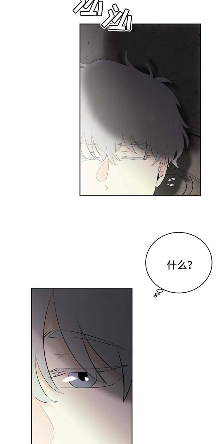 《贴身使者》第66章危险的人 第10页
