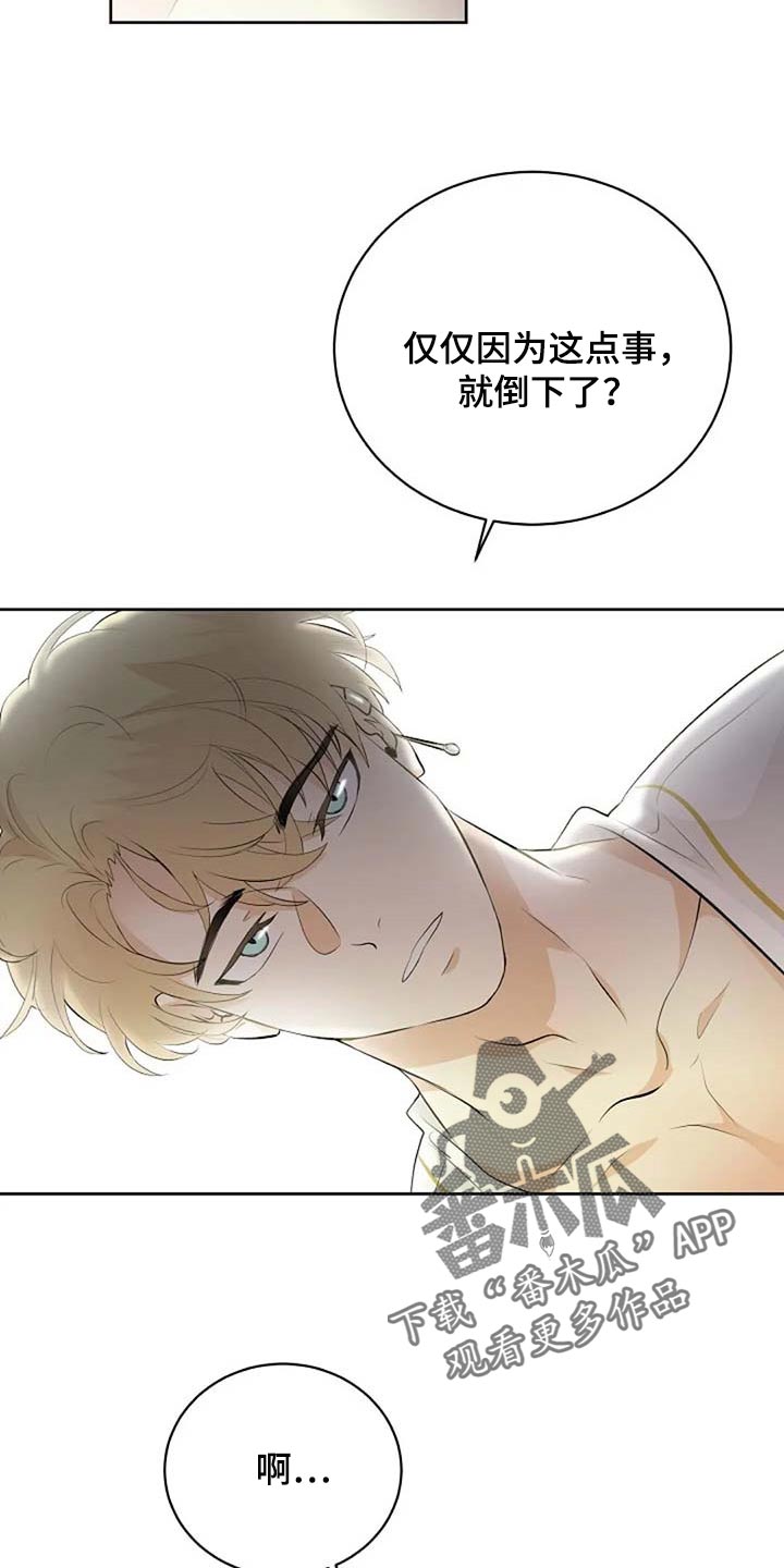 《贴身使者》第66章危险的人 第11页