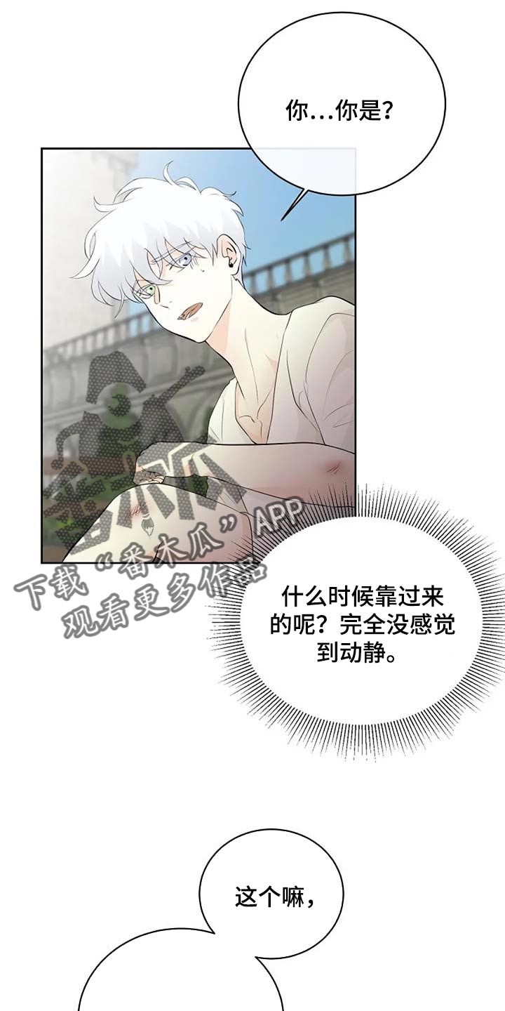 《贴身使者》第66章危险的人 第14页