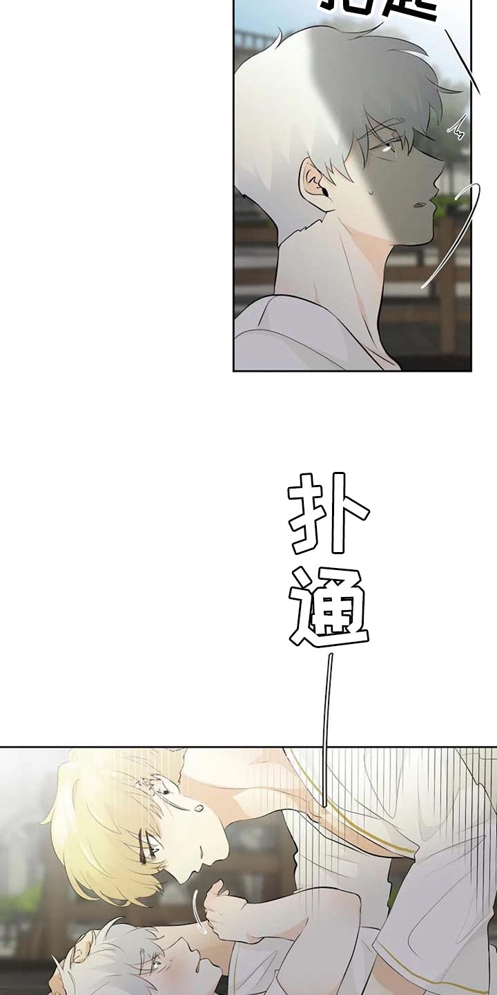 《贴身使者》第66章危险的人 第19页