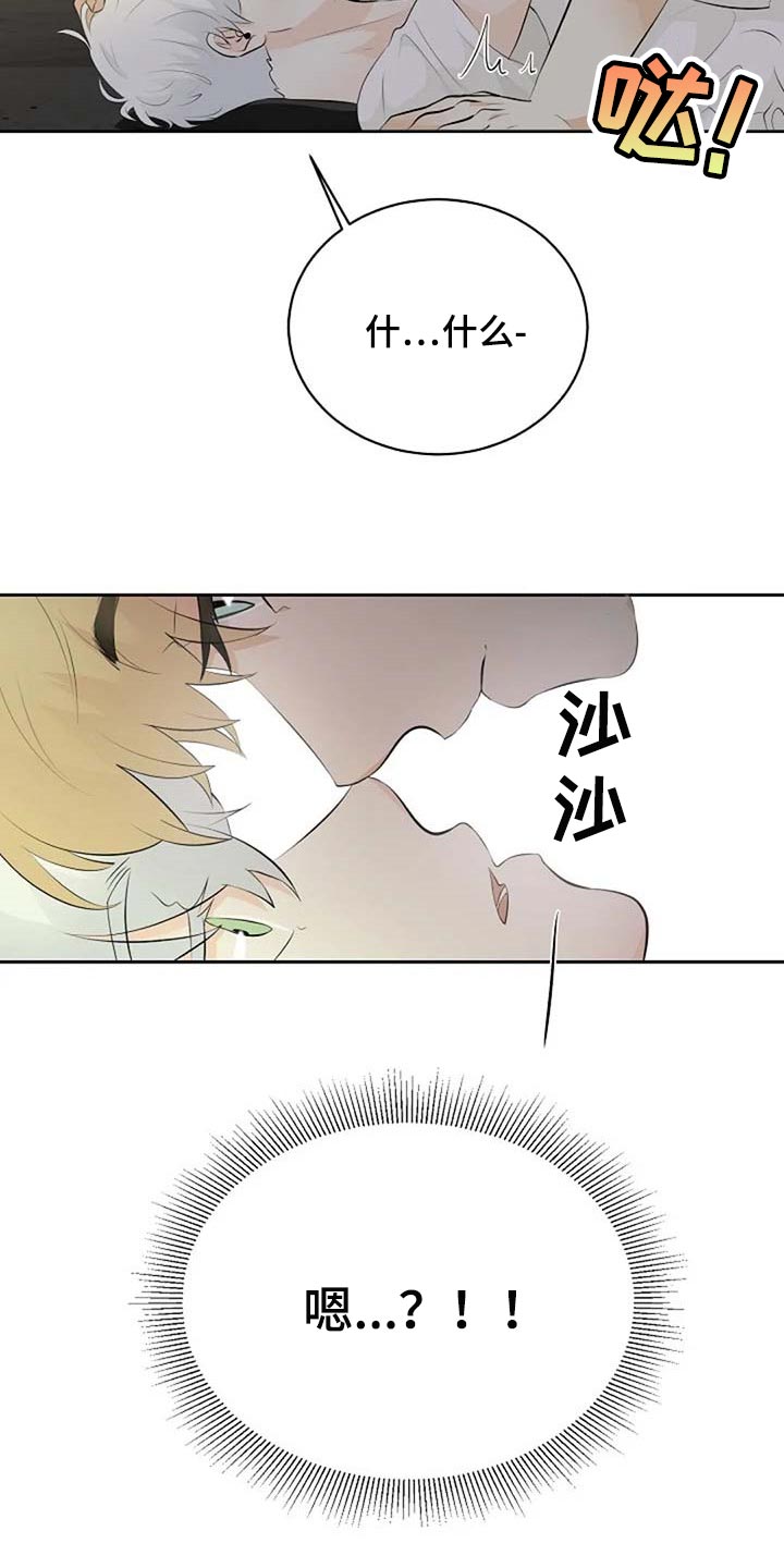 《贴身使者》第66章危险的人 第20页