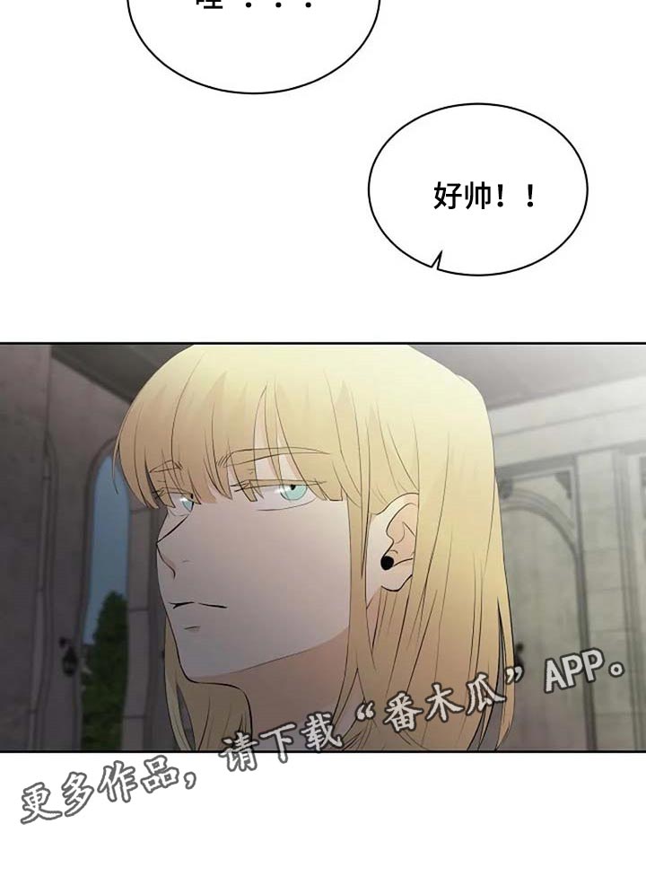 《贴身使者》第66章危险的人 第27页