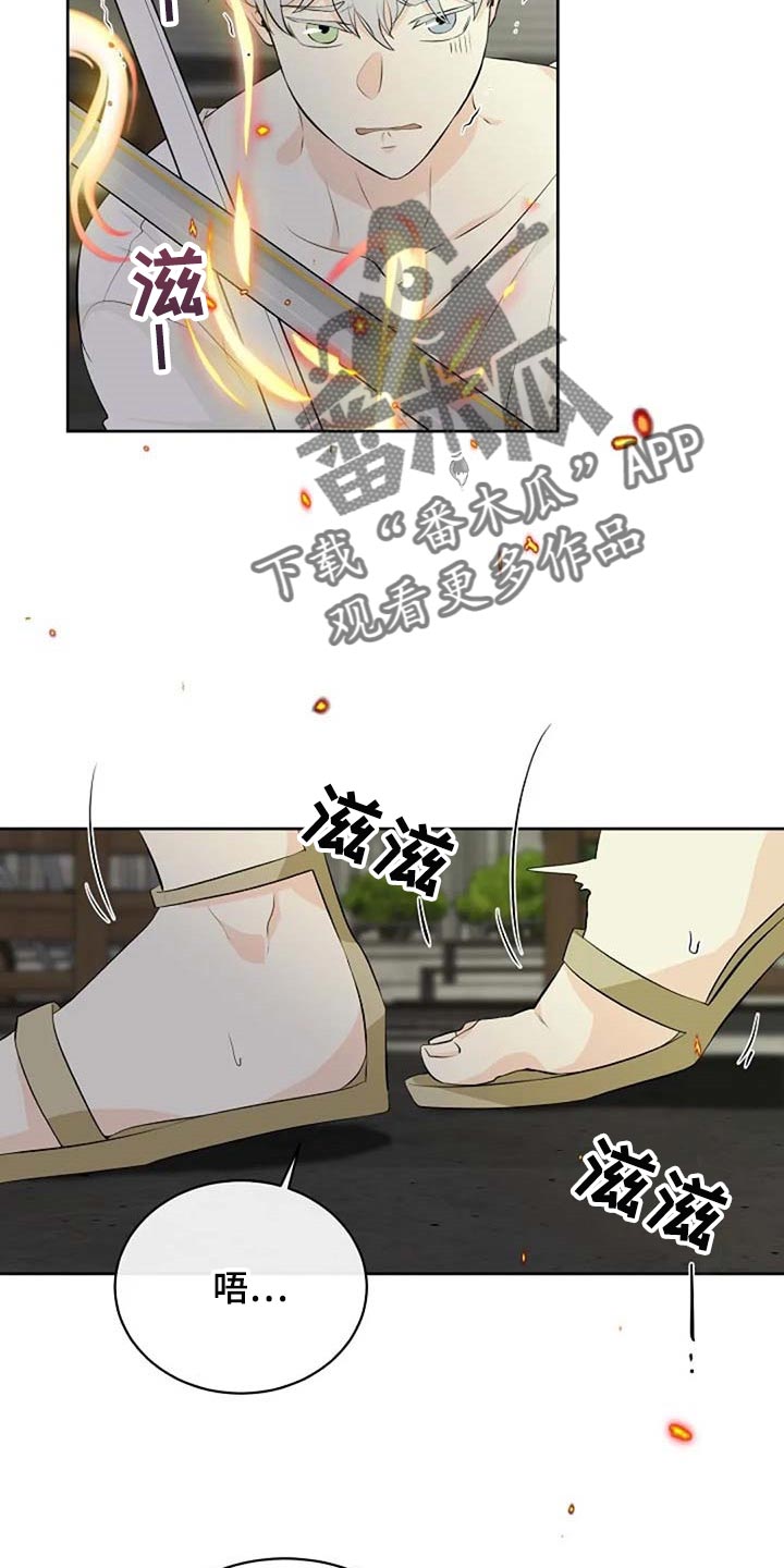 《贴身使者》第66章危险的人 第2页