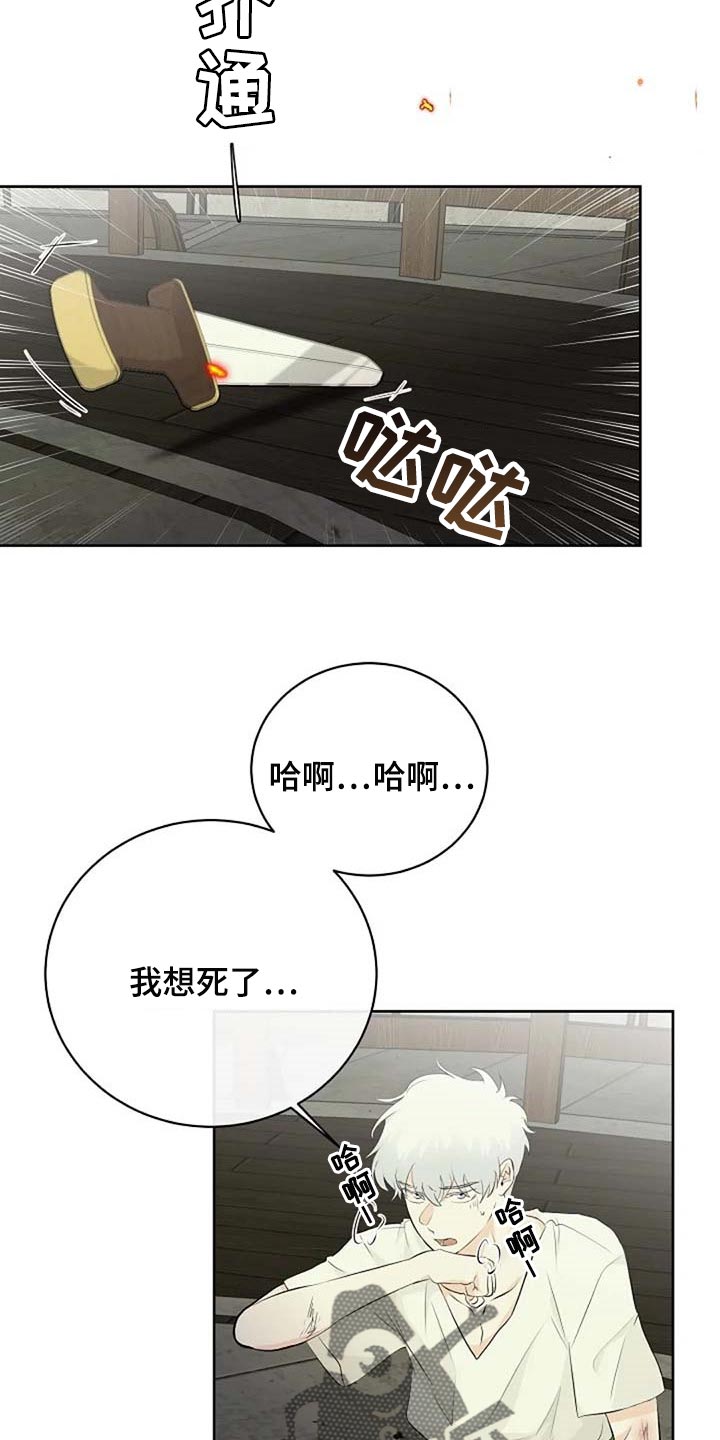 《贴身使者》第66章危险的人 第4页