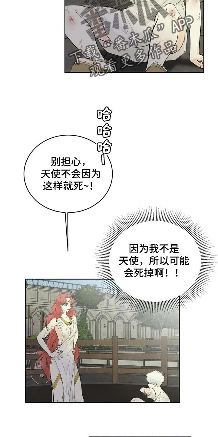 《贴身使者》第66章危险的人 第5页